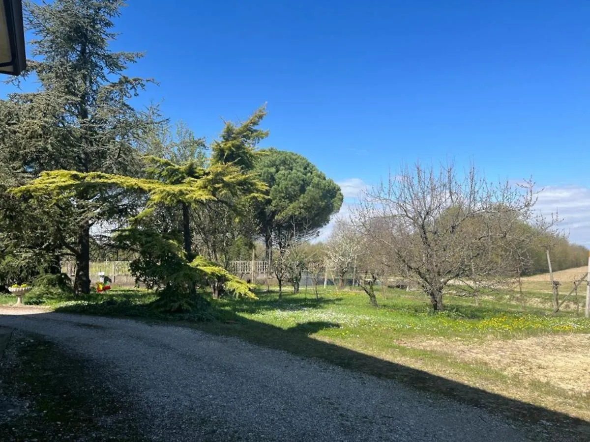 Bed & Breakfast B&B Airport Venice Diego Tessera